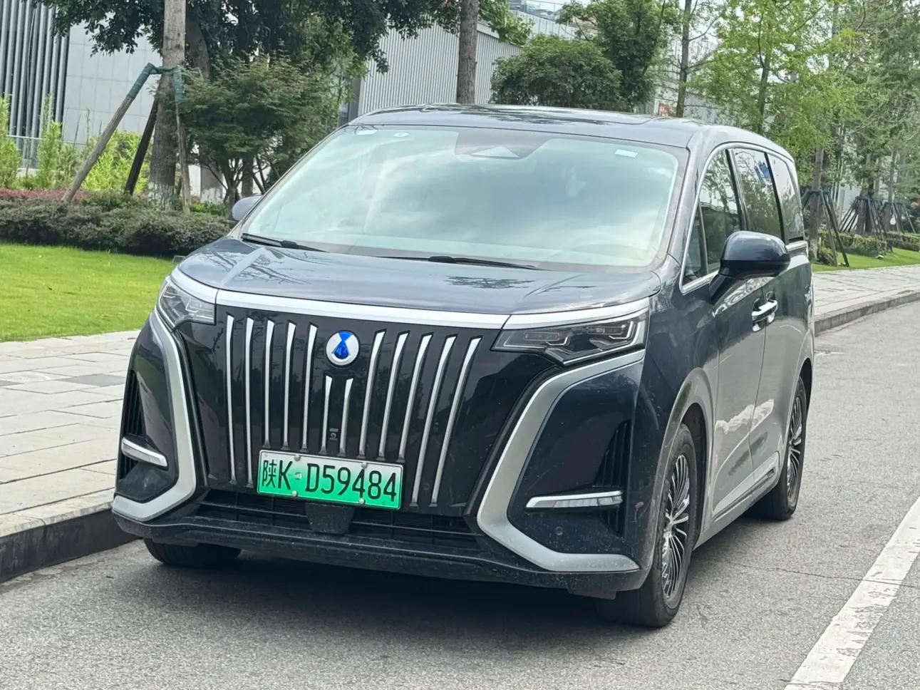 Denza D9 EV 2023 г. 20131 км.