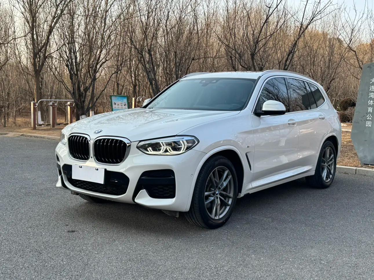 BMW X3 20i 2.0 xDrive Steptronic (184 л.с.) 2021 г. 78002 км