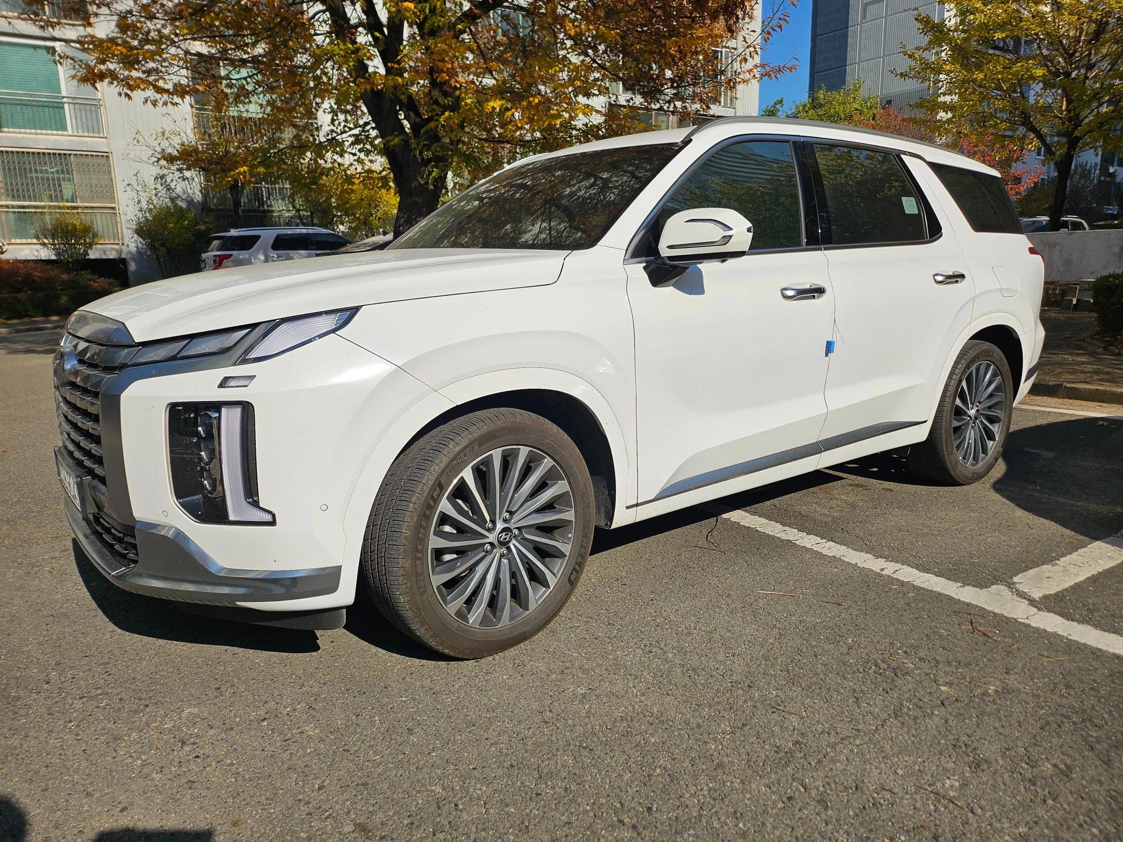 Hyundai Palisade Diesel 2.2 4WD VIP, 2024 г. 56413 км.