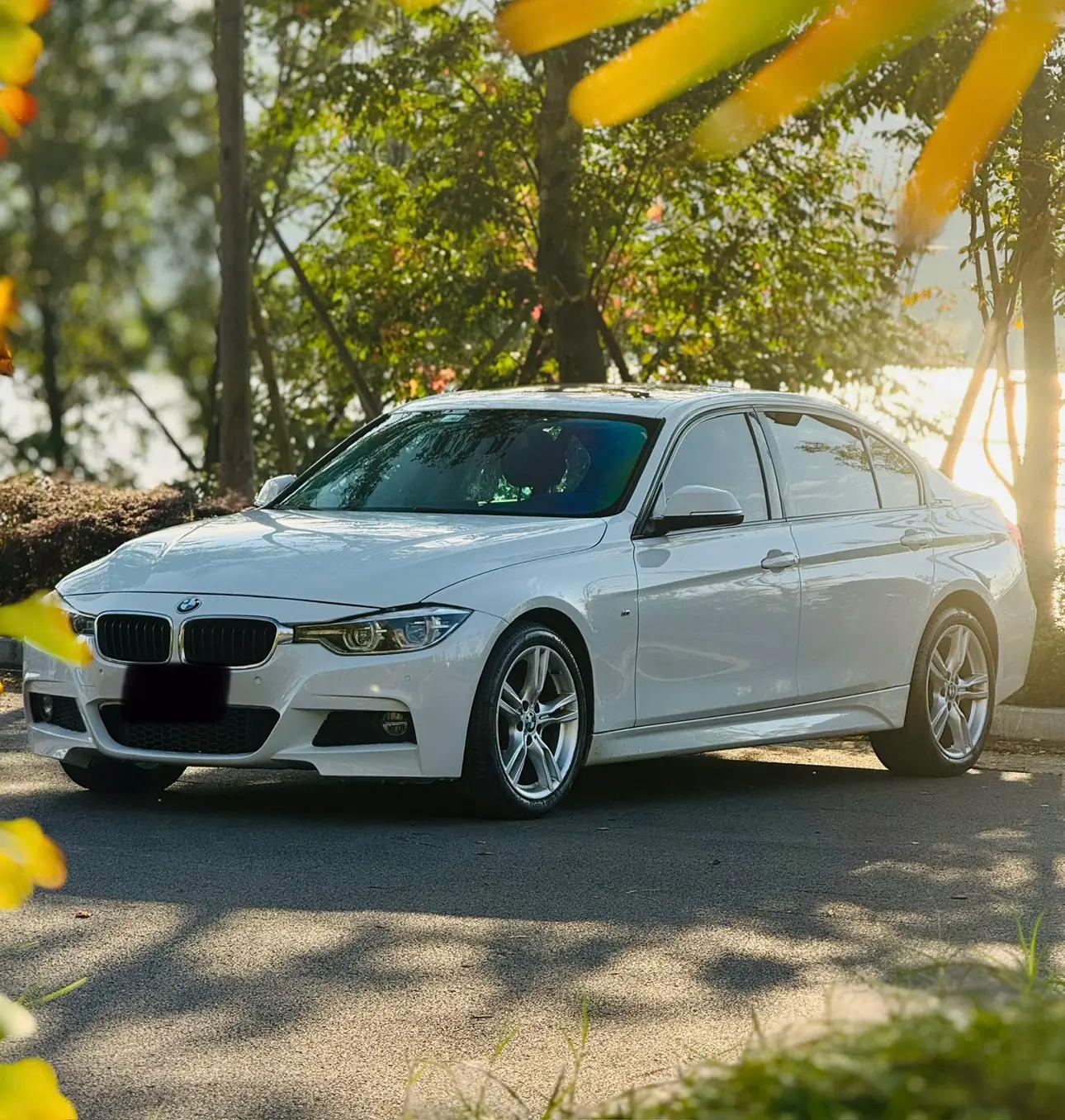 BMW 3 Series 2019 г.