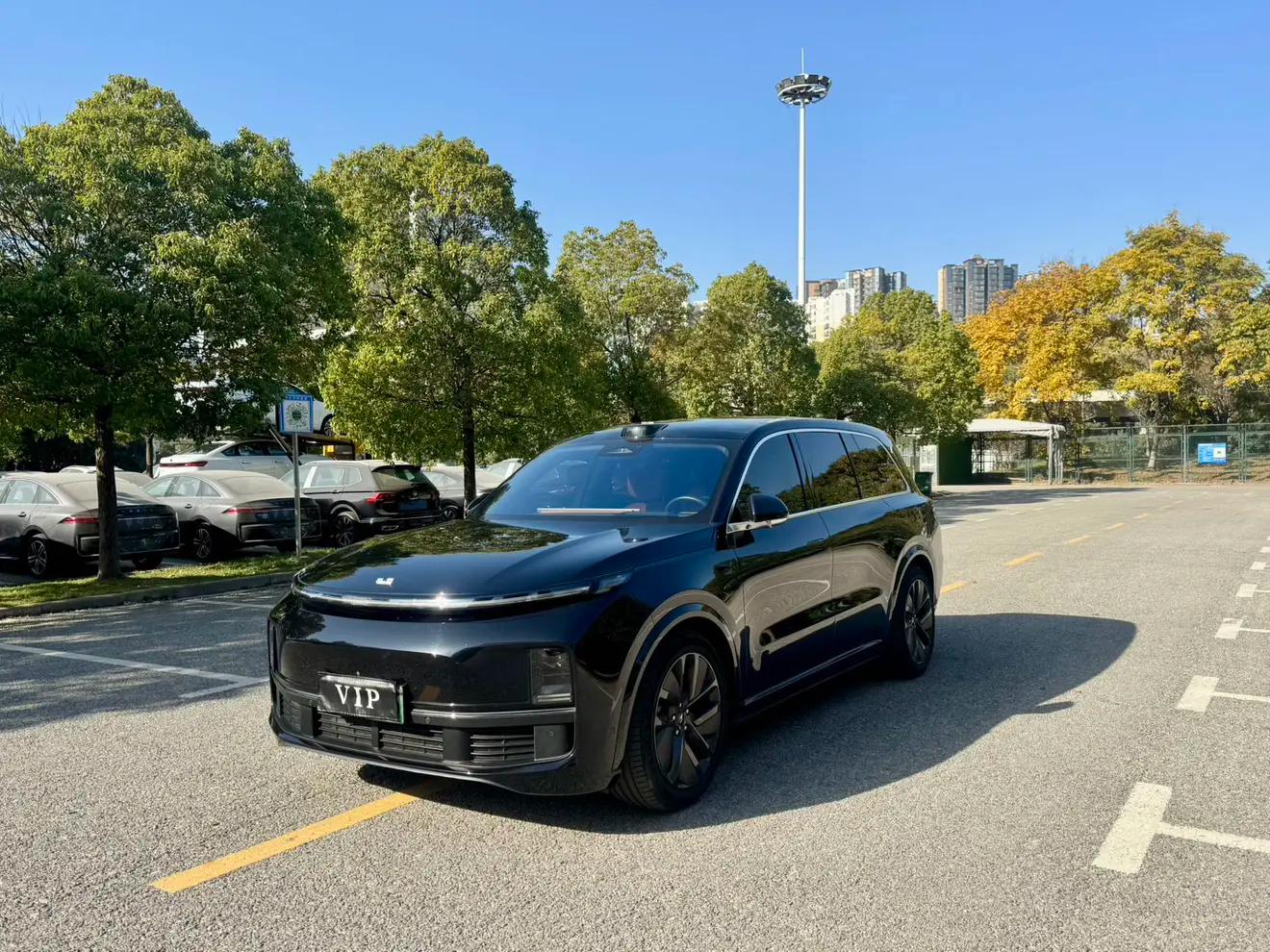 Lixiang L9 2023 г. 46075 км.
